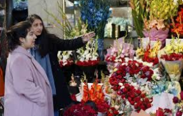 Best flower shop in Islamabad